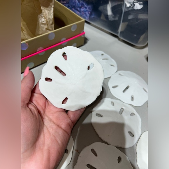 SAND-DOLLAR COLLECTION (NOT REAL) - Picture 7 of 8